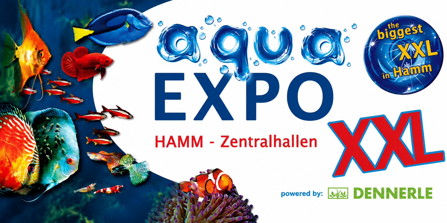 Aqua Expo XXL